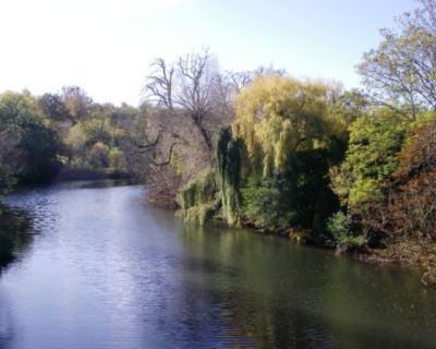 A bend in the river with trees either side