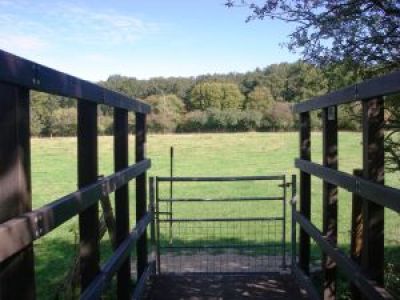 A latched gate at the end of a short bridge with a sunny field ahead